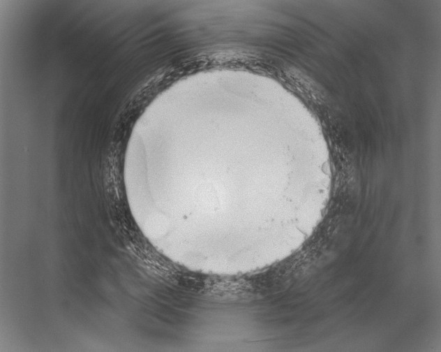 X0000067830824200605041621