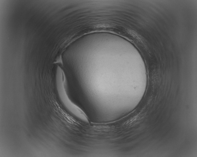 X0000067830825200605041621