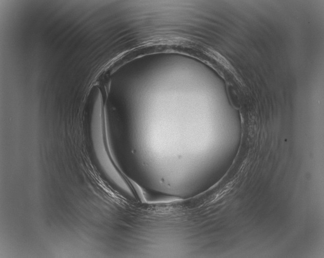 X0000067830826200605041621