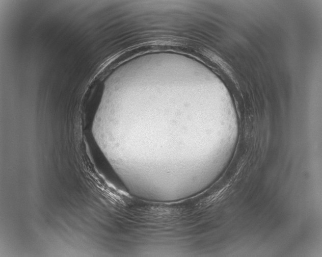 X0000067830829200605041621