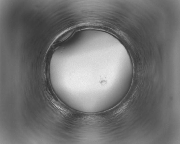 X0000067830830200605041621