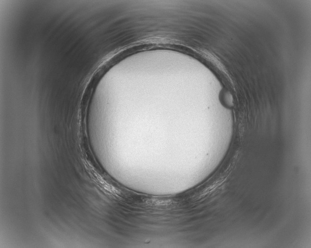 X0000067830831200605041621