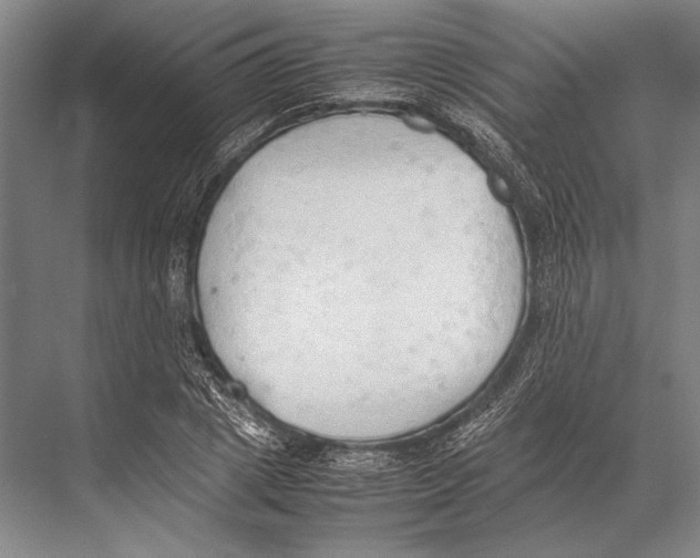 X0000067830833200605041621