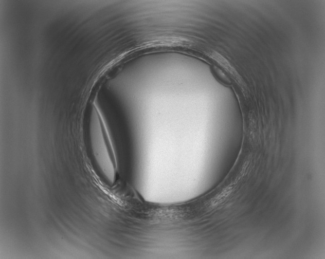 X0000067830834200605041621