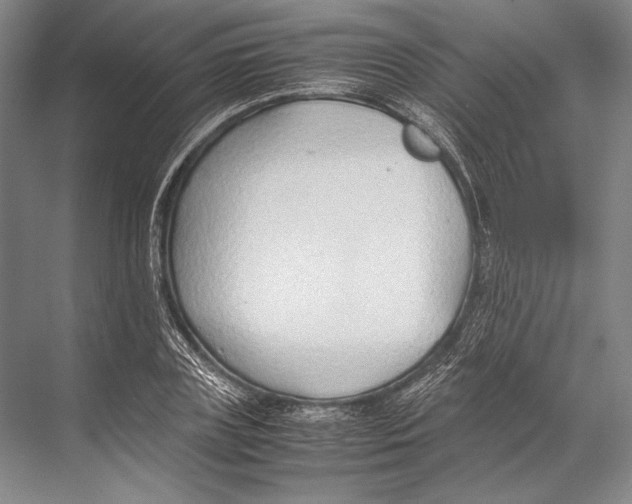 X0000067830835200605041621