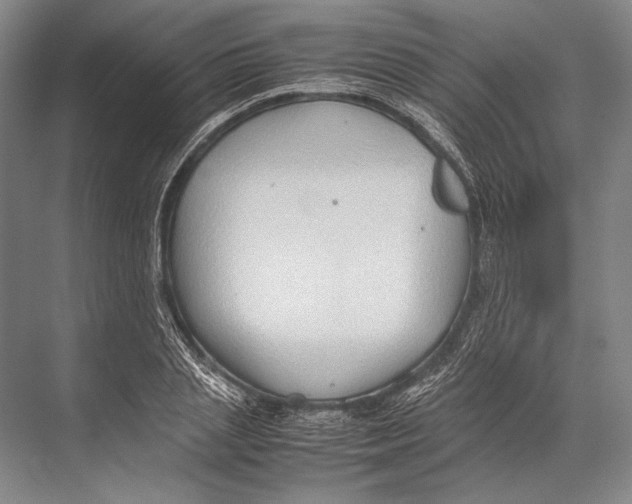 X0000067830837200605041621