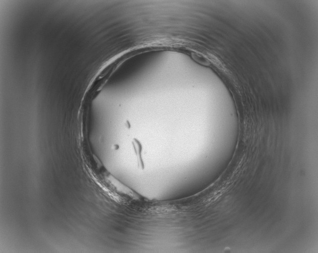 X0000067830838200605041621