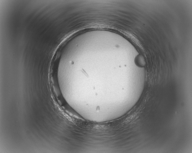 X0000067830839200605041621