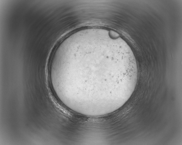 X0000067830840200605041621