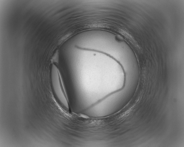 X0000067830841200605041621