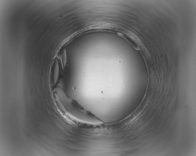 X0000067830842200605041621