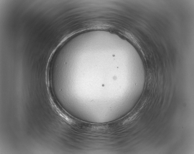 X0000067830843200605041621