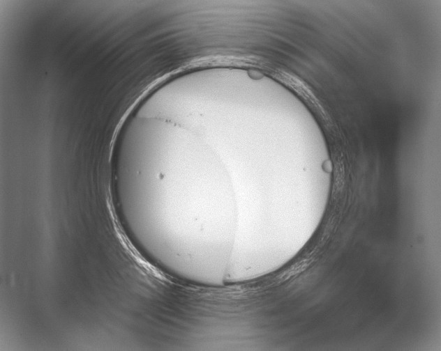 X0000067830844200605041621