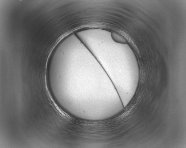 X0000067830845200605041621