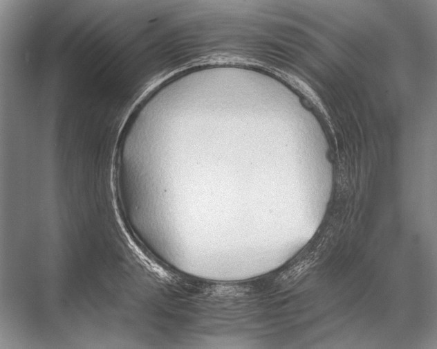 X0000067830847200605041621