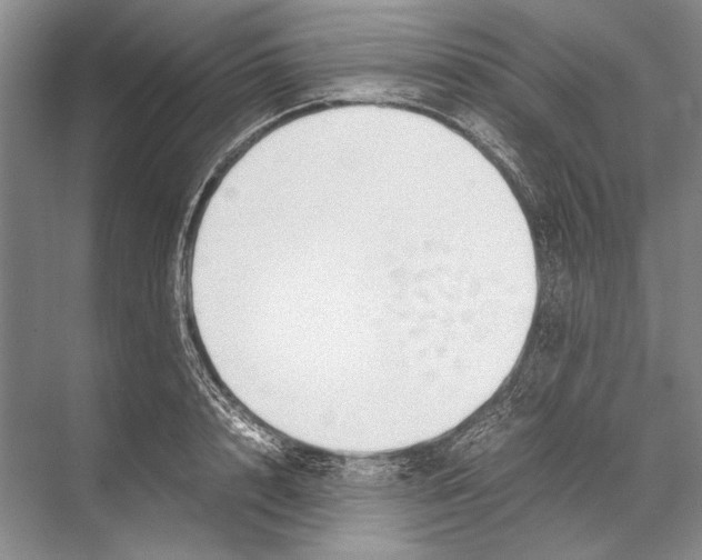 X0000067830848200605041621