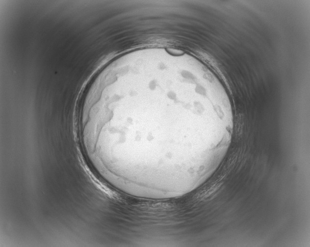 X0000067830851200605041621