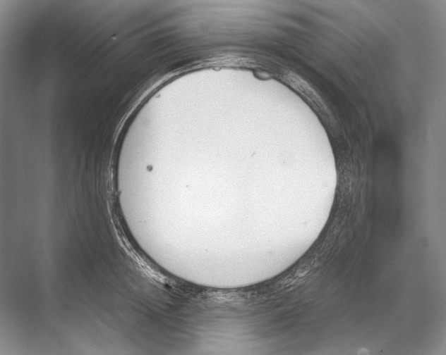 X0000067830852200605041621