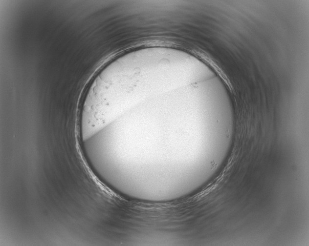 X0000067830853200605041621