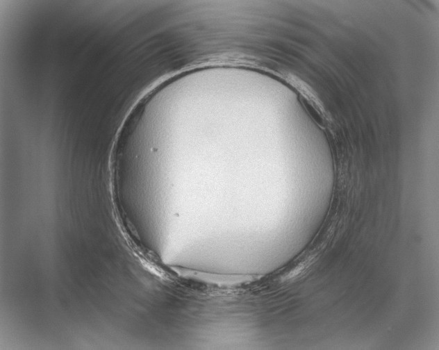 X0000067830854200605041622