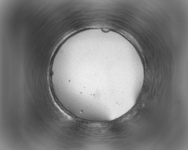 X0000067830855200605041622