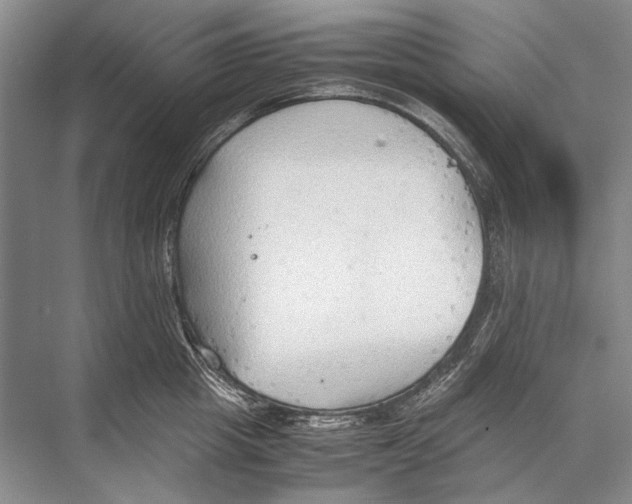 X0000067830857200605041622