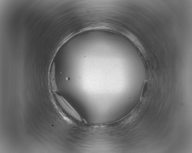 X0000067830858200605041622