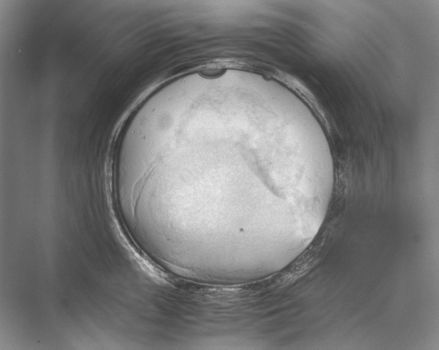 X0000067830859200605041622