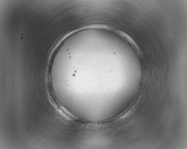 X0000067830860200605041622