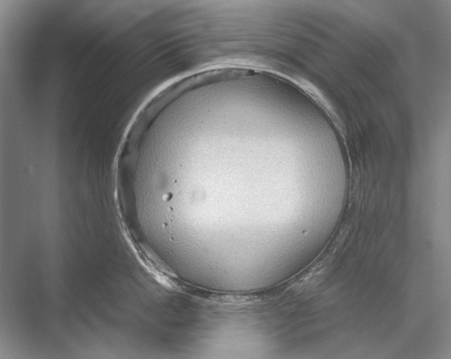 X0000067830862200605041622