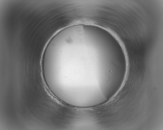 X0000067830864200605041622