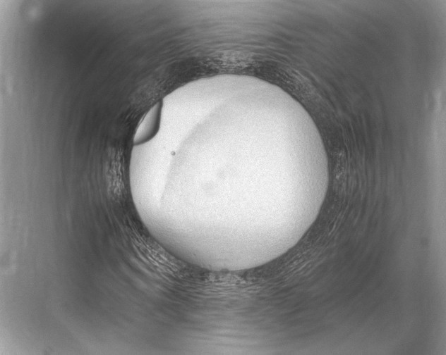 X0000067830866200605041621