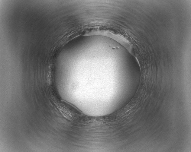 X0000067830868200605041621