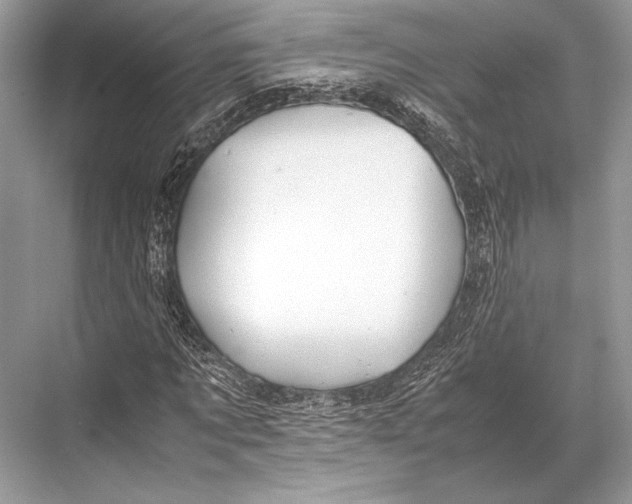 X0000067830869200605041621