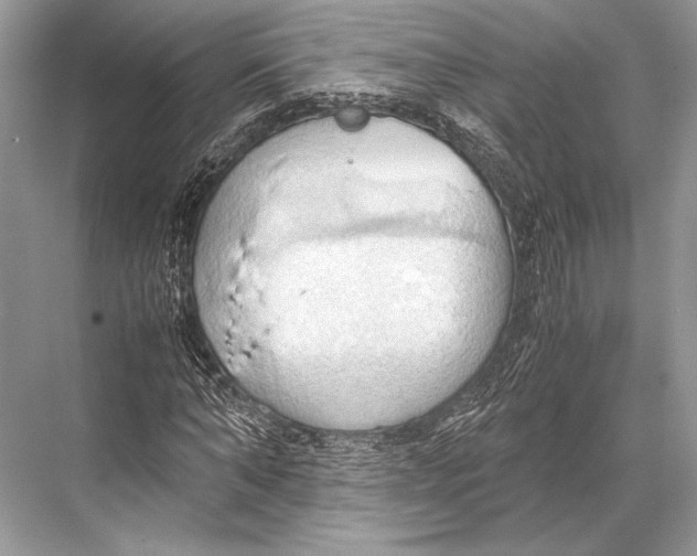 X0000067830870200605041621