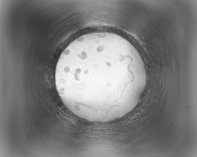 X0000067830871200605041621