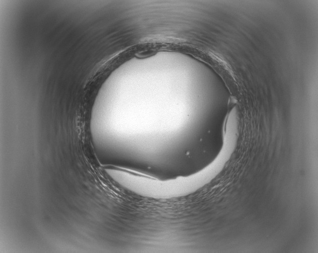 X0000067830872200605041621