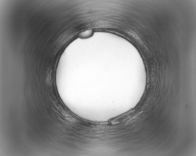 X0000067830873200605041621