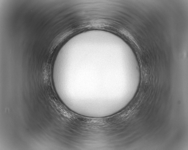 X0000067830874200605041621