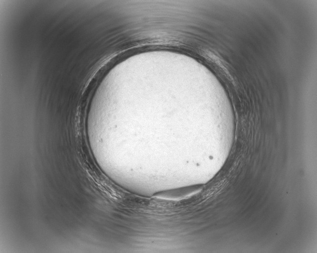 X0000067830875200605041621