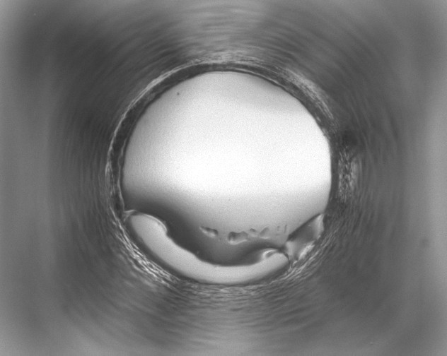 X0000067830876200605041621