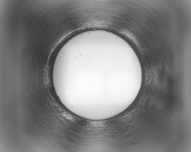 X0000067830878200605041621