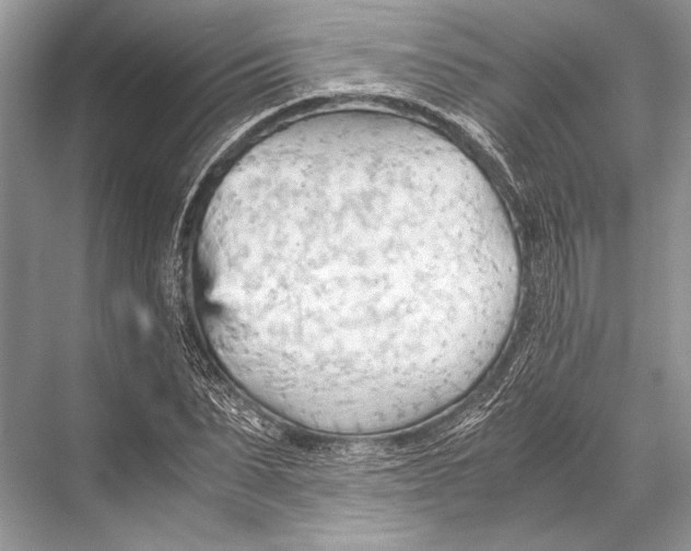 X0000067830879200605041621