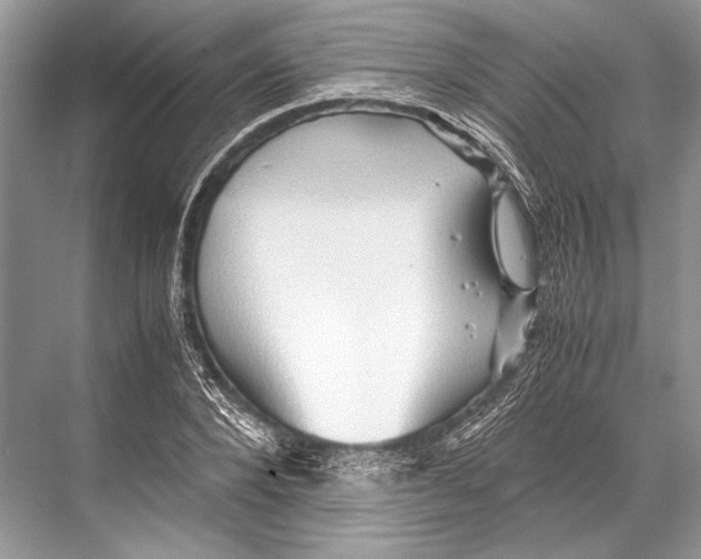 X0000067830880200605041621