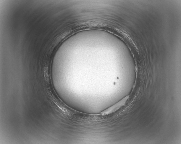 X0000067830881200605041621