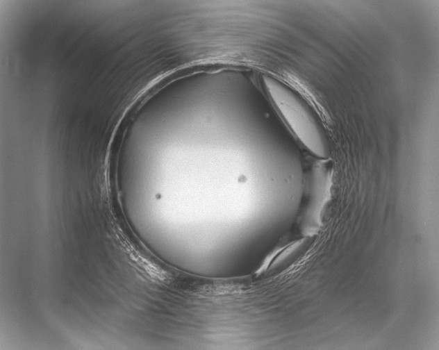 X0000067830884200605041621