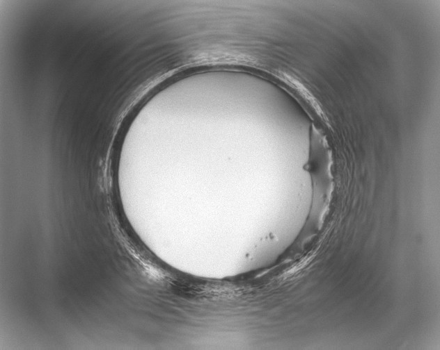 X0000067830885200605041621