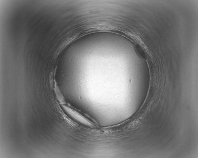 X0000067830889200605041620