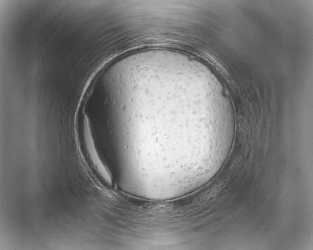 X0000067830891200605041620