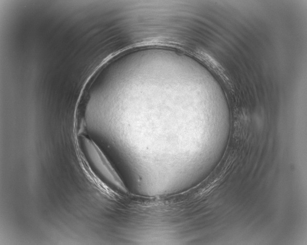 X0000067830892200605041620